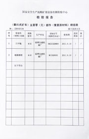 国家级检验报告