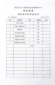 国家级检验报告
