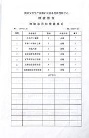 国家级检验报告