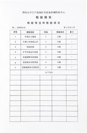 国家级检验报告