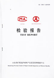 省级检验报告