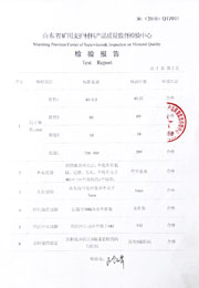省级检验报告