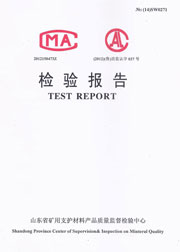 省级检验报告