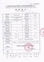 省级检验报告
