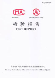 省级检验报告
