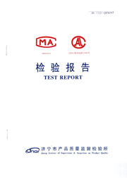 市级检验报告
