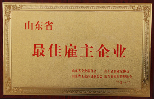 /热烈祝贺山东中煤工矿集团荣获首批山东省最佳雇主企业/