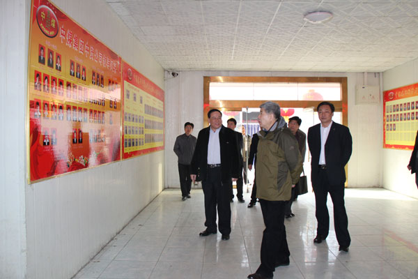 /山东省电子商务协会秘书长莅临山东中煤工矿集团指导工作/