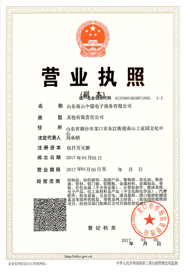 热烈祝贺山东南山中煤电子商务有限公司正式成立