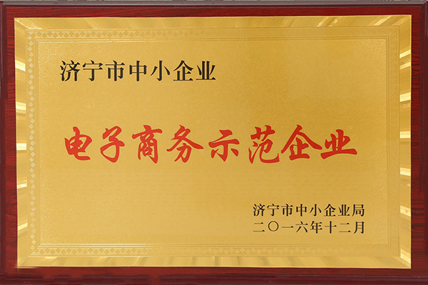 热烈祝贺山东中煤集团被济宁市中小企业局评为电子商务示范企业